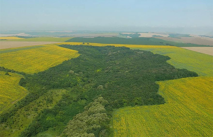 Дунайская равнина, Болгария